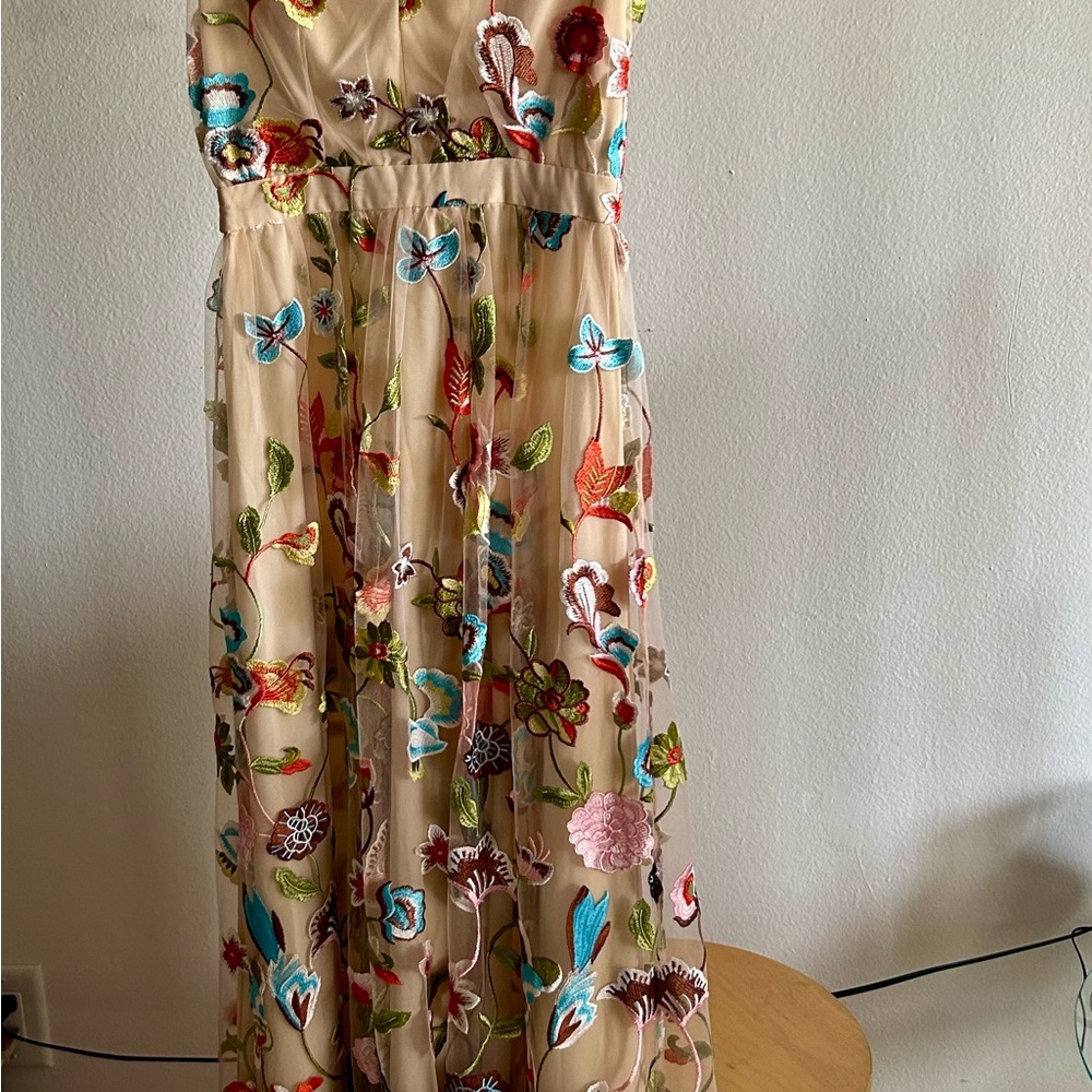 Naked dress.  Beige Maxi Dress with Multicolor Floral Embroidery - Picture 8 of 12